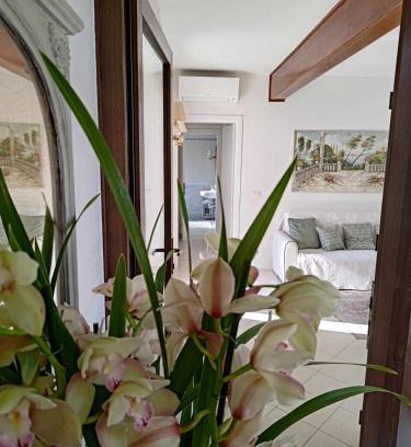 Cavallino-Treporti Apartment | Berto's house tra mare e laguna
