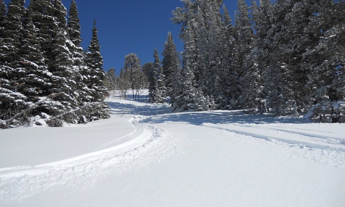 Powder Mountain Condo | Best Deal! 3BR/3BA Ski-in/out At Powder Mountain - Rare Slopeside Accommodation