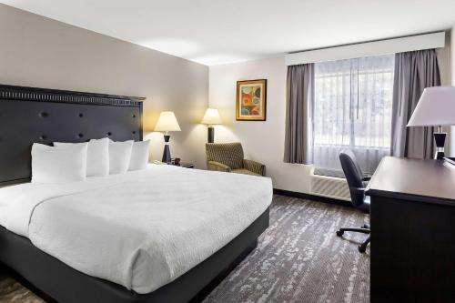 Carbondale Hotel | Best Western Saluki Inn