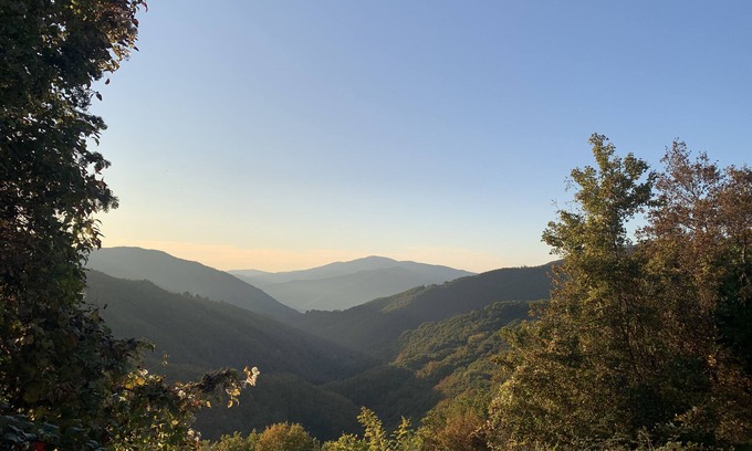 Londa House | Between the forest of wonders and Florence farmhouse from the 1200s