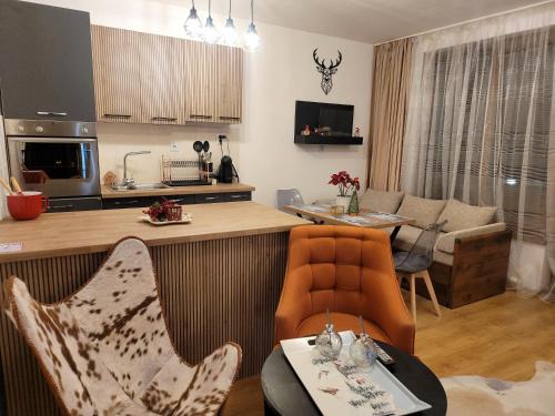 Samokov Apartment | BH and Semiramida Ski Apartment