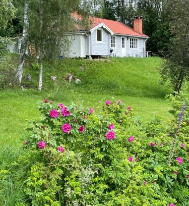Jarvso House | Bialett