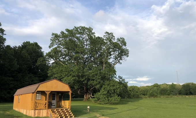Marion Cabin | Big Tree Little Cabin