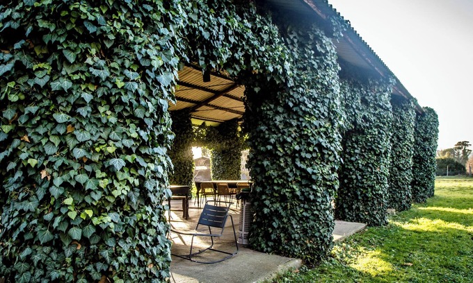 Civitella Paganico Other | Bio Tenuta di Paganico - I Roggeti