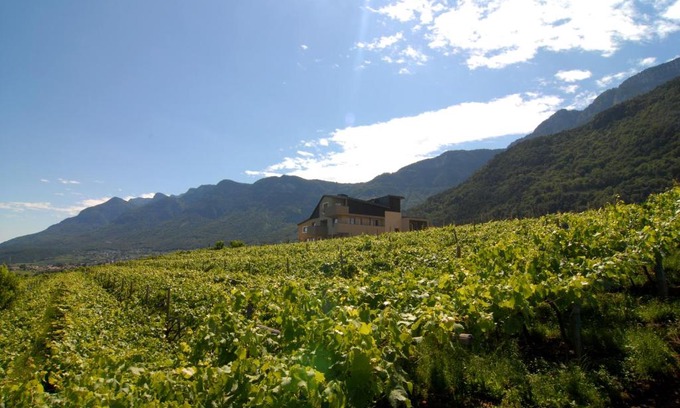 Pianizza Di Sopra Apartment | Biobauernhof St. Quirinus