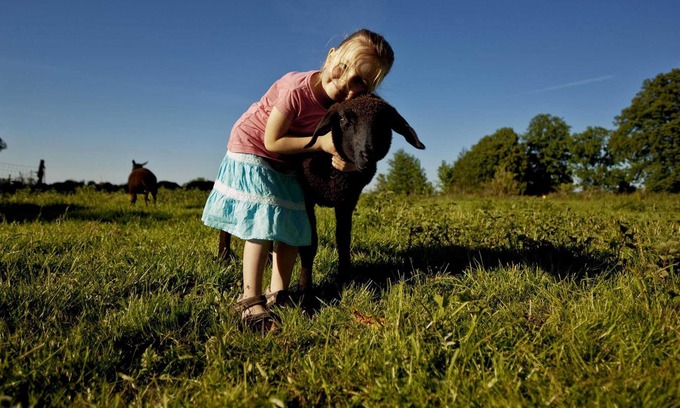 Swinemuende Apartment | Bioland dairy sheep sheep barn - Fewo sheep barn