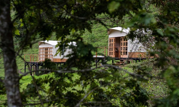 Salento Other | Birdglamping Los Arboles Glamping Hotel