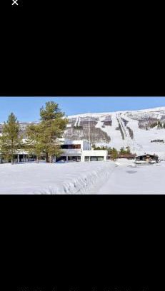 Bjorli Apartment | Bjorli Apartment with everything