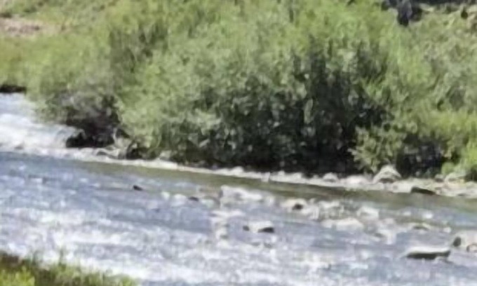 Silverton RV Rental | Black Bear primitive campsite withnMineral rights.