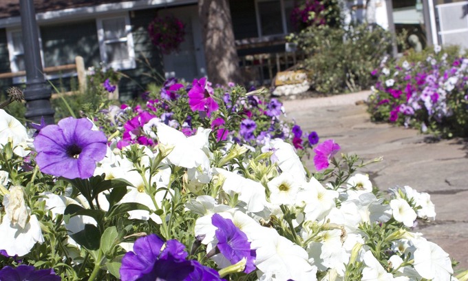 Hill City Other | Black Elk Resort Cottages and RV Park