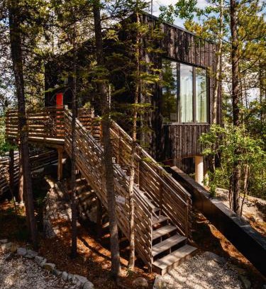 Whitehorse House | Black Spruce - Orange Door