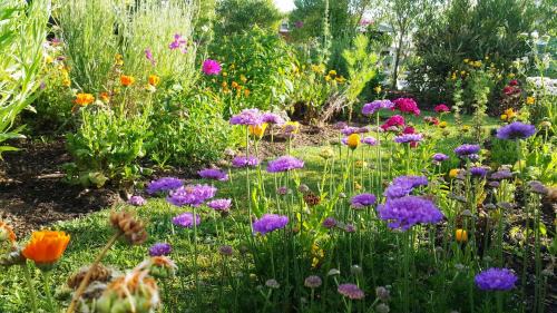 Maungatapu House | Blooming Delight Tauranga