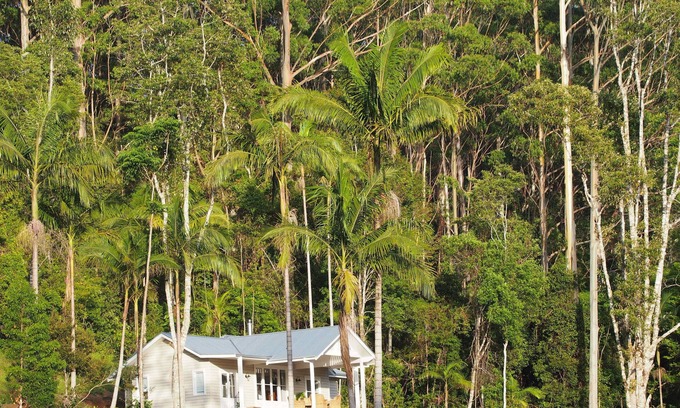 Whian Whian Cottage | Blue Fig Cottage @ Nightcap Ridge