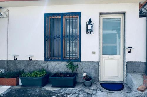 Spisone House | Blue House