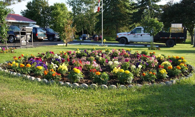 Otonabee-South Monaghan Hotel | Blue Jay Motel