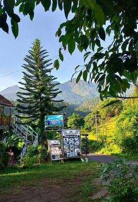 Bayan House | Blue Mountain Cottage