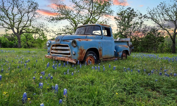 Burnet House | Blue Truck Ranch-6 Acres 3 Cottages FIRE PIT!