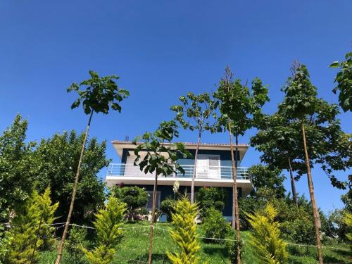 Durres Villa | Blue Vila