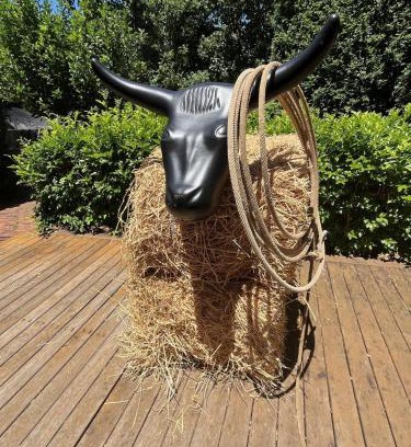 East Tamworth House | Bluebird Cottage