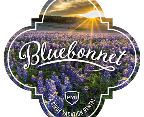 Wetmore House | Bluebonnet - A Birdy Vacation Rental