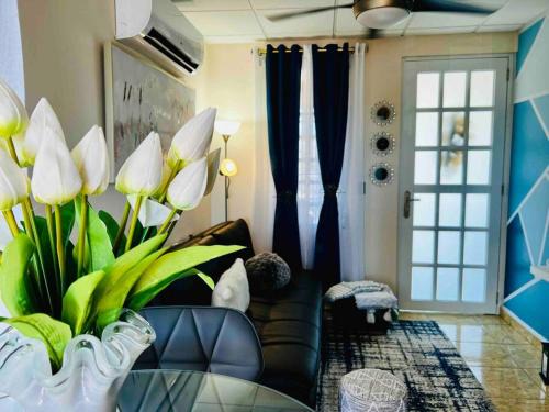 Cangrejo Arriba Apartment | BlueBreeze - Cozy Apartment Near Airport