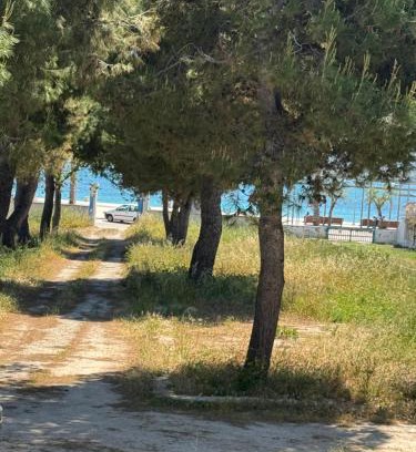 Torre Canne House | BlueLoft TorreCanne