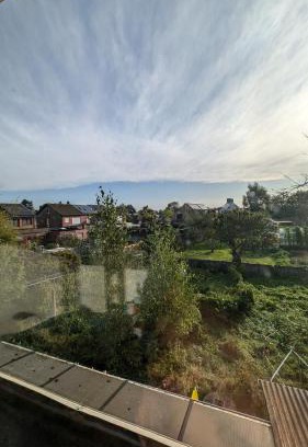 Waarloos House | Boboc's