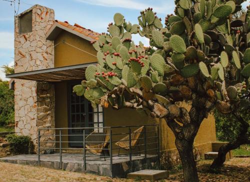 Ezequiel Montes Resort | Bodegas Vaivén Hotel Boutique
