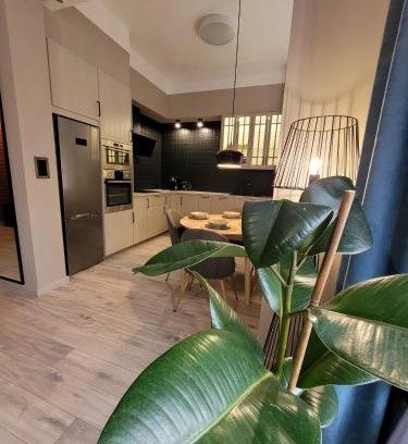 Boleslawiec Apartment | BoleslaviaApartments - Apartament Simon 2, Center, air conditioning