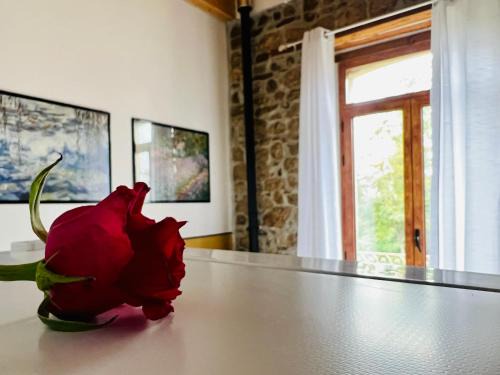 Apice Bed & Breakfast | Bombrelais
