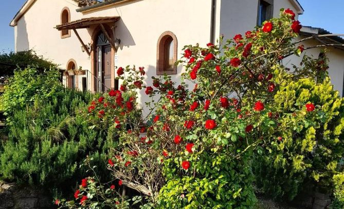 Roccastrada House | Borgo de' Muracci