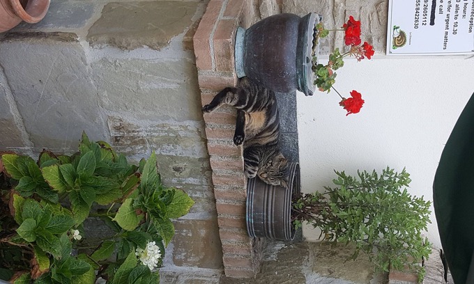 Barberino di Mugello Condo | Borgo la Fratta holiday home apartment 1