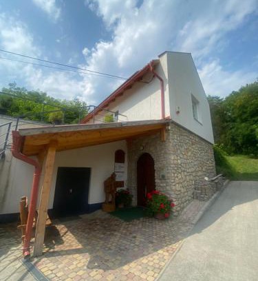 Dedestapolcsany House | Borház