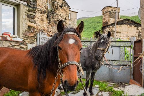 Ushguli Apartment | Bori's Guesthouse