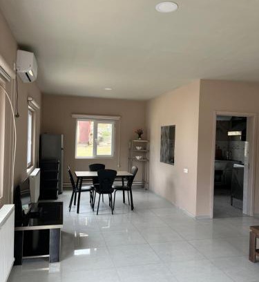 Likani House | Boriti