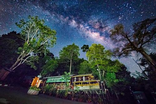 Miri Resort | Borneo Tropical Rainforest Resort