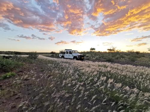 Namibia Bed & Breakfast | Boscia African Farm