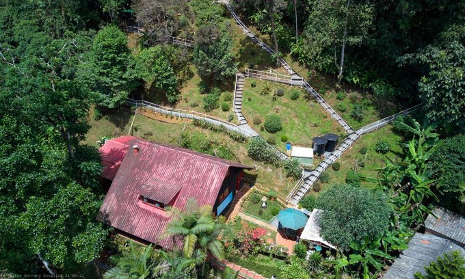 Cali Cabin | Bosque de Niebla Birding & Nature
