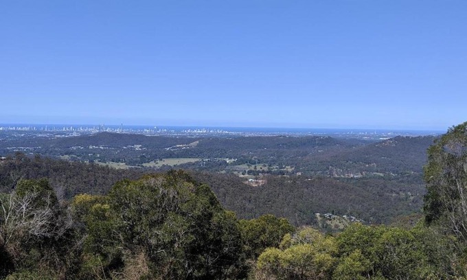 Lower Beechmont House | Bottletree Gardens - Mini Manson Blue