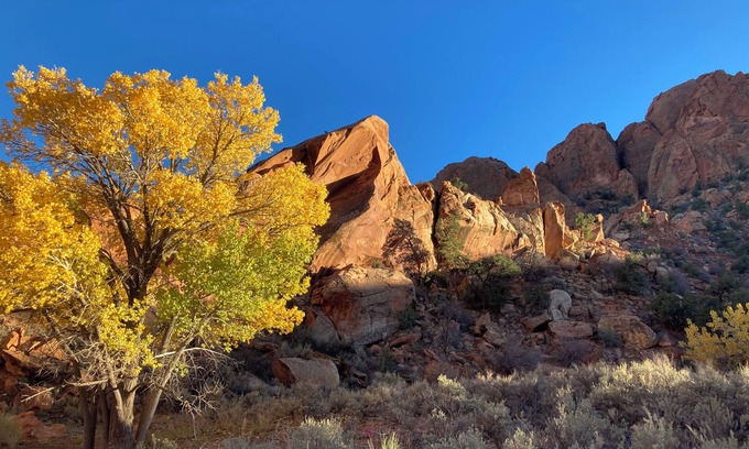 Boulder Cabin | Boulder Canyons Nano Cabin