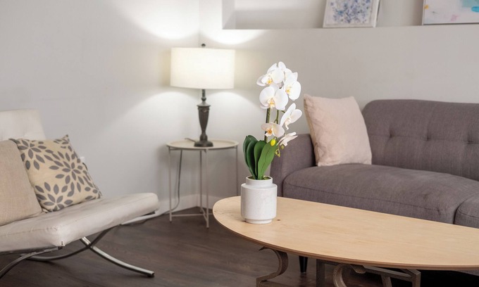 Bow Riverfront House | Bow River Haven: 3-Bed Basement Suite