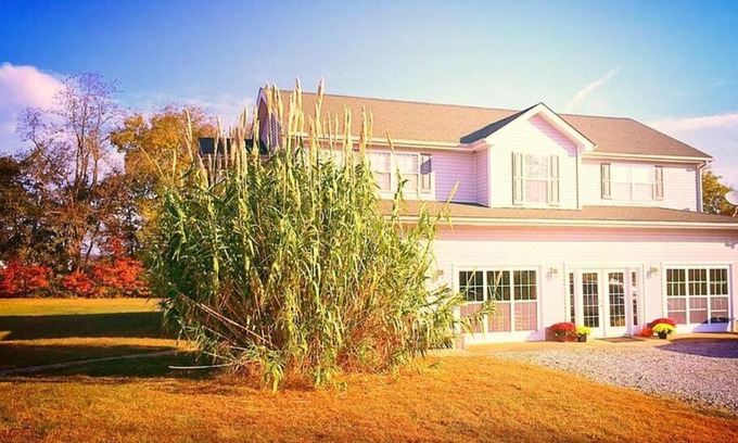 Bowling Green Apartment | Bowling Green Kentucky Country Family Getaway!