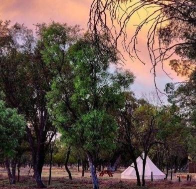 Lightning Ridge Other | Box Flat Belle Off Grid Glamping