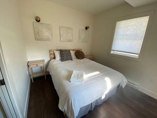 North Central Edmonton Apartment | Brand New 1 Br 1 Bath Close To All Walkable
