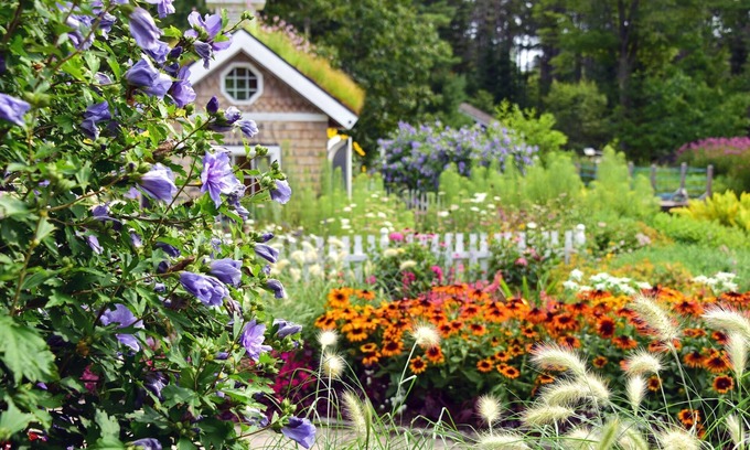 Freeport Bed & Breakfast | Brewster House Bed & Breakfast