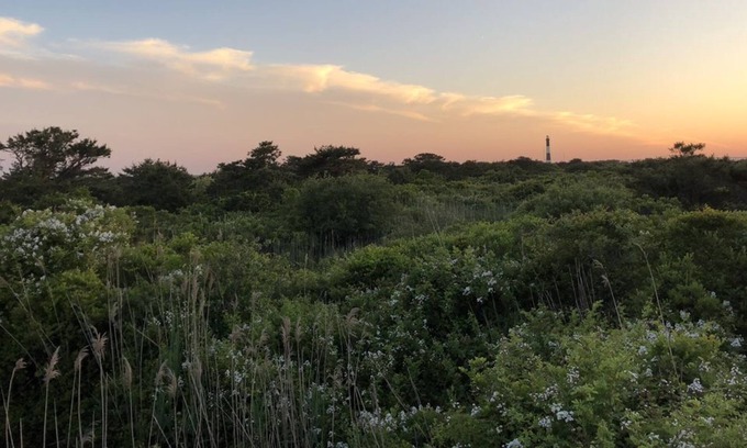 Kismet House | Bright, Cozy Bungalow With Lighthouse Views, Two Minutes Away from the Beach