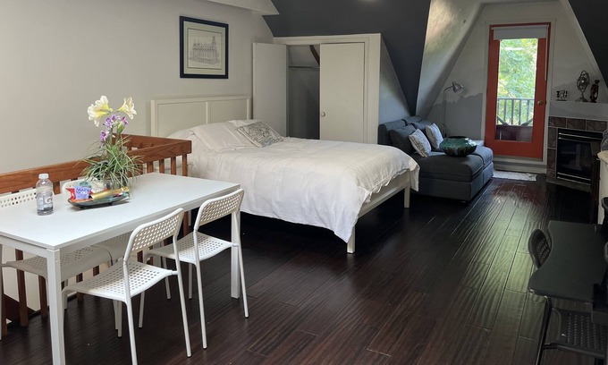 Cabbagetown Apartment | Bright & Peaceful Suite. Retail Conveniences Steps Away. Ryerson & U of T <2.6km