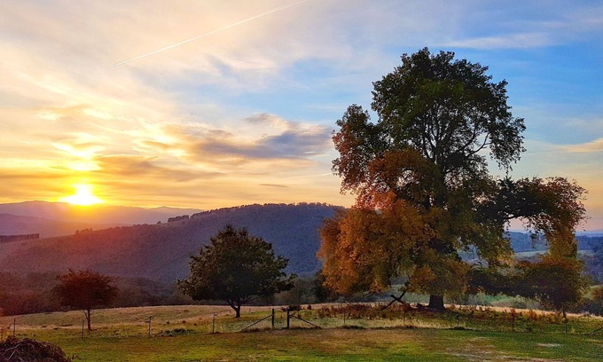 Snowy Valleys Council Other | Brindabella Farmstay