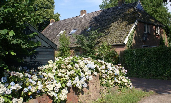 Diever Other | British/Dutch Owned Former Farmhouse (1836) near Picturesque National Park