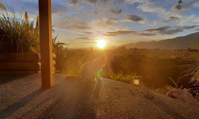 Kaikoura Bed & Breakfast | Brook House B&B & Cottages